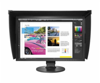 24  LED EIZO CG2420-WUXGA,IPS,DP,piv,autoHWkal