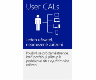 MS OEM Windows Server CAL 2016 EN 1pk 1 User CAL