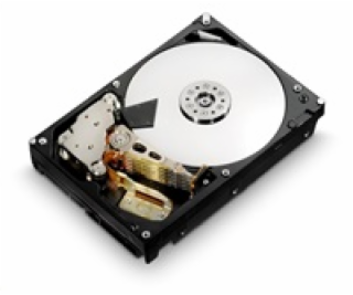 Western Digital Ultrastar® HDD 6TB (HUS726T6TALE6L4) DC H...