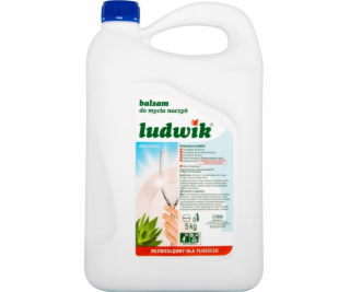 LUDWIK Hypoallergenic Dishwashing Liquid 900 g