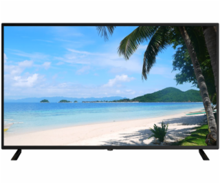 DAHUA 55  LED LM55-F400/ IPS panel/ 3840x2160 (UHD)/ 5000...