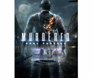 ESD Murdered Soul Suspect