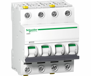 Schneider Electric Overprournt Switch 4P C 10A 10A AC IC6...