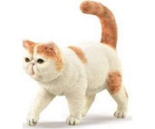 Collecta Exotic Shorthair Cat