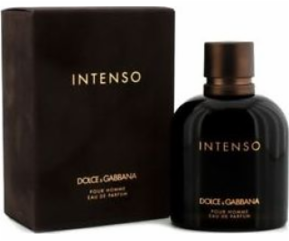 Dolce & Gabbana Intenso Pour Homme EDP Spray 125ml