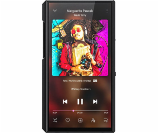 FiiO FiiO M11 Plus ESS