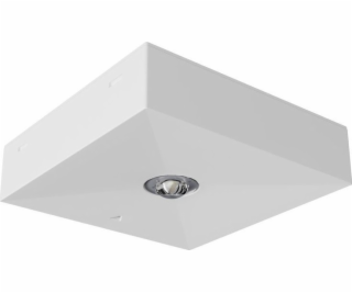 Awex Emergency Luminaire LV3N IP20 LED 1W (Opt. Road) 1H ...