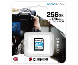 Canvas Go! Plus 256 GB SDXC, Speicherkarte