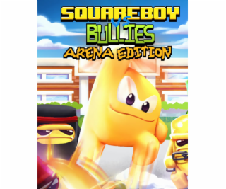 ESD Squareboy vs Bullies Arena Edition