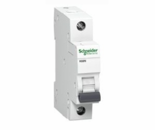 Schneider Electric Jistič 1P C 25A 6kA AC K60N - A9K02125