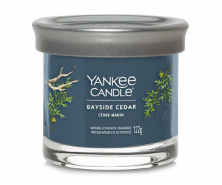 Svíčka ve skleněném válci Yankee Candle, Pobřežní cedr, 1...