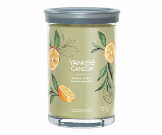 Svíčka ve skleněném válci Yankee Candle, Šalvěj a citrus,...