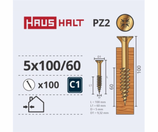 Vruty do dřeva Haushalt, 5 x 100/60 mm, ZN, PZ2, 100 ks.