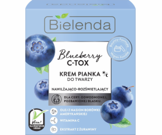 Bielenda Blueberry C-TOX Krém-pěna na obličej