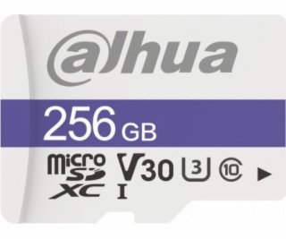 Paměťová karta DAHUA TF-C100/256GB 256GB