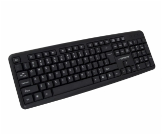 Esperanza EK134 keyboard USB Black