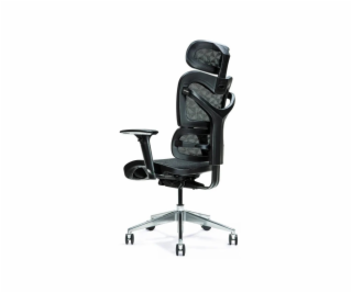 Ergonomic office chair ERGO 600 black