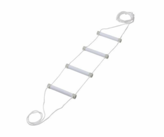 Rehabilitation bed ladder fluorescent