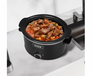 TESLA SlowCook S350 