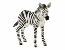 Schleich Wild Life         14811 Zebra zrieba