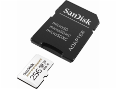 SanDisk High Endurance     256GB microSDXC     SDSQQNR-256G-GN6IA