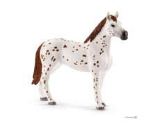 Schleich 42433 Set appalosské kone a tréningové príslušensto