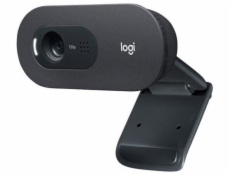 Logitech C505 HD Webcam