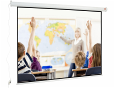 Avtek Wall Electric 240 projection screen 4:3