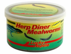 Lucky Reptile Herp Diner - mouční červi 35g Mouční červi 35g