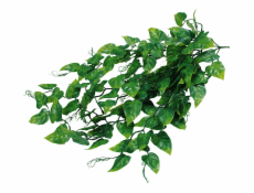 Lucky Reptile Jungle Plants Ivy Bush cca 50 cm