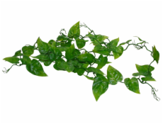 Lucky Reptile Jungle Vine Philo Vine cca 200 cm