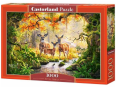 Castorland Puzzle 1000 kráľovskej rodiny