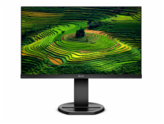 Monitor 23.8 241B8QJEB IPS DVI HDMI DP Pivot