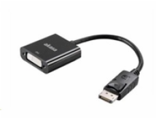 AKASA kabel redukce DisplayPort na DVI, 20cm