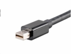 AKASA adaptér Mini DisplayPort na DVI passive, 20cm