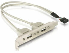 DeLOCK USB 2.0 Slotblende, 10 Pin Header > 2x USB-A Buchse