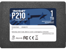 P210 1 TB, SSD