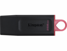 Kingston DataTraveler Exodia 256 GB, USB-Stick DTX/256 GB