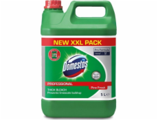 DOMESTOS PROFESSIONAL Pine Fresh Toilet gel XXL 5L