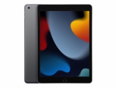 Apple 10.2inch iPad Wi-Fi 256GB Space Grey      MK2N3FD/A