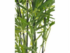 Bambus v černém květináči, 120 cm