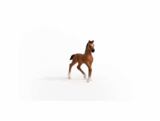 Schleich Horse Club     13947 Oldenburger Foal