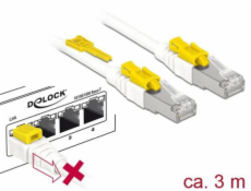 DeLOCK RJ45 Secure Cat. 6A, Kábel