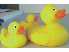 Lena Duck Family 65543