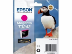 Epson inkoustová náplň/ T3243 / Magenta