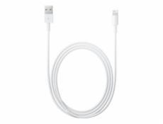 Apple Lightning to USB Cable (1m)