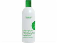 Šampón Ziaja Intensive Fresh Mint 400 ml