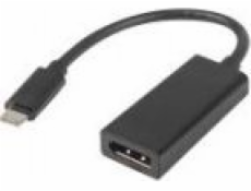 Lanberg AD-UC-DP-01 video cable adapter 0.15 m USB C DisplayPort Black