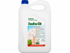 LUDWIK Hypoallergenic Dishwashing Liquid 900 g