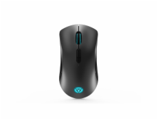 Lenovo Legion M600 Wireless Gaming Mouse stingray